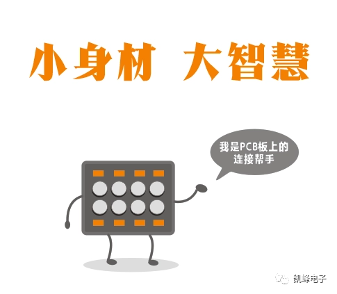 image.webp image.webp